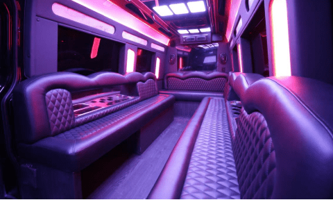 Miami 14 Passenger Sprinter Bus Interior